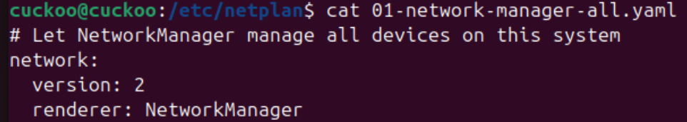 01-network-manager-all.yaml